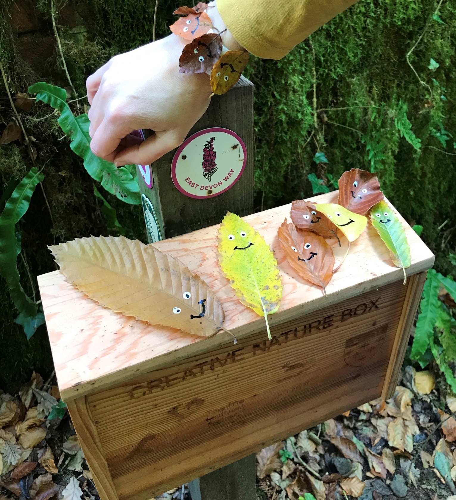 leaf bracelets created from Creative Nature Boxes by Thelma Hulbert Gallery